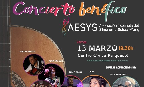 imagen destacada concierto Valladolid 2020 por AESYS